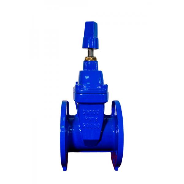 Quality Cast Iron F4 Gate Valve 4 Inch Gland Type ODM for sale