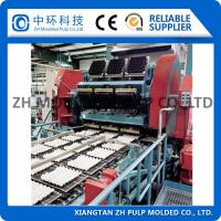 Quality Large Output Pulp Egg Tray Machine 100kw Molding Rotary Fully Automatic for sale