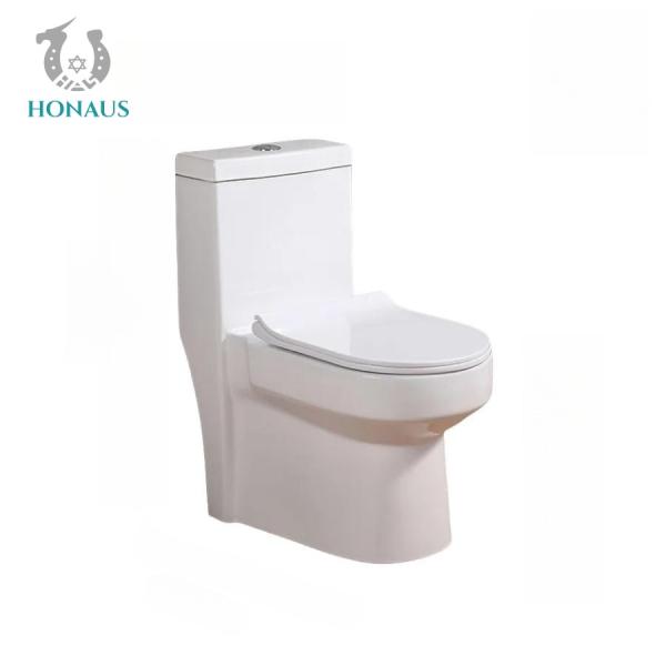 Canadian Single Piece Wall Mounted Commode One Piece Wc 650*360*740mm ...