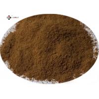 China Antifungal Hederacoside C Ivy Stem Extract factory