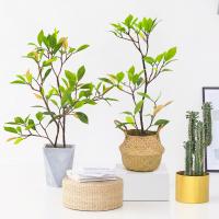 China Real Looking Artificial Mangrove Waterpoof Bathroom Decoration Plant factory