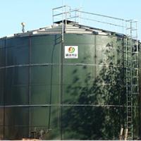 China Biogas EGSB Reactor Upflow Anaerobic Sludge Blanket Digestion For Chicken Manure factory