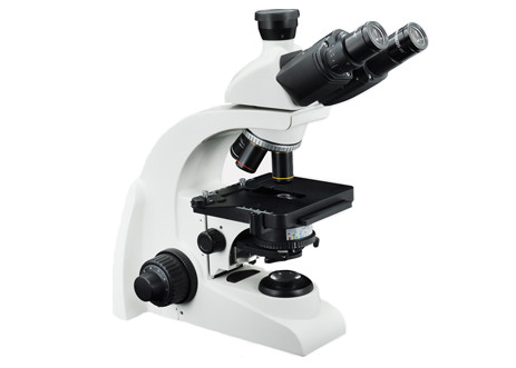 Quality Educational Portable Microscope 1000x WF10X Trinocular Biological Microscope for sale
