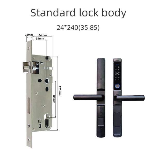 Quality Wifi Control Glass Door Digital Lock ROHS Electronic Smart Door Lock for sale