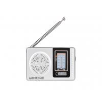 China Silvery Small Plastic Pocket AM FM Radio DK-2019 Mini Am Fm Radio Stations Easy To Carry factory