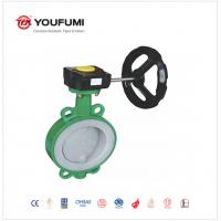 Quality Gas Media PTFE Lined Butterfly Valve PN16 150LBS For New Energy for sale