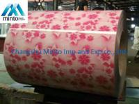 China ASTM A792 JIS G3321 Print PPGI Steel Coil Double Coating 15um - 20um Top Coat factory