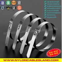 Quality Stainless Steel Cable Ties for sale