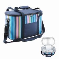 China 25L Insulated Cooler Bags Collapsible Soft Insulated Picnic Bag factory