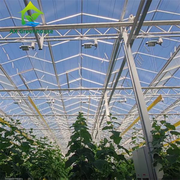 Quality Commercial Multispan Large Venlo Glass Greenhouse Hot Galvanized Steel Frame for sale