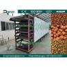China German Motor Dry Pet Fish Food Extruder Machine / Processing Line with CE approved factory
