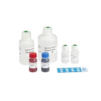 Quality 40T/Kit Male Infertility Test Kit For Detection Human Spermatozoan Nucleoprotein for sale