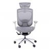 China Cable Control IFIT Ergonomic Chair Adjustable Swivel Chair Lumbar Support Chair factory