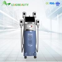 China Zeltiq Cryolipolysis Slimming Machine with 12 inch big Touch Screen factory