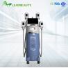 China 2015 promotion!!!!!!!Fastest slimming! high quality anti-freeze cryolipolysis weight factory