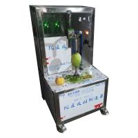 China Automatic Electric Vineyard Grape Machine Fruit Juice Peeling Crushing By Hand Small Home Using Mulberry factory