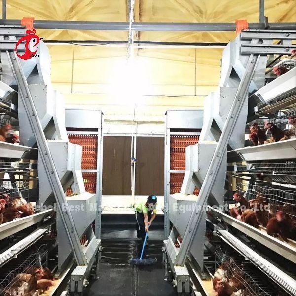 Quality A Type Layer Chicken Battery Cage Full Automatic For Large Farm Adela for sale