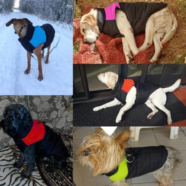Quality Waterproof Dog Coats , Warm Puppy Winter Clothes / Vest / Jacket for sale