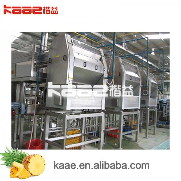Quality SS304 Mango Juice Production Line Pineapple Juice Processing Line Customized for sale