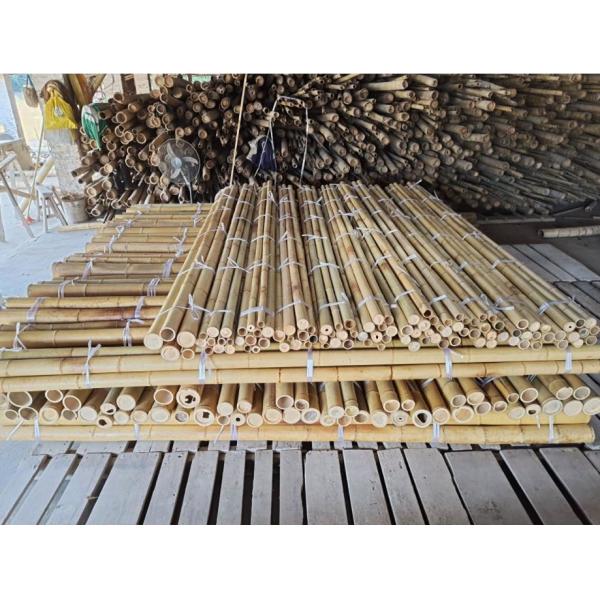 Quality 18mm To 160mm Diameter Bamboo Cane Moso Bamboo Pole Construction Agriculture for sale