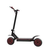 China Two Wheels Foldable Electric Scooter Self Balance Kick 10 Inch Vacuum Tire factory