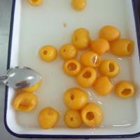 China Delicious Sweet Canned Fresh Loquat Whole In Light Syrup ISO Approved factory