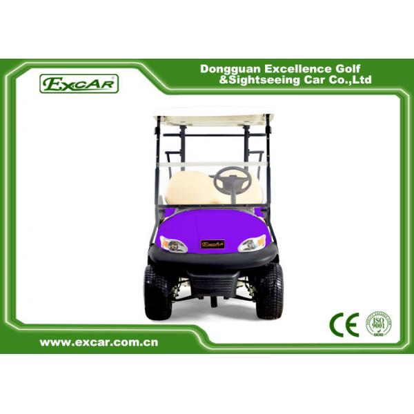 Quality 45kmph Used Low Speed Electric Vehicles 2 Rear Seat With AC DC System for sale