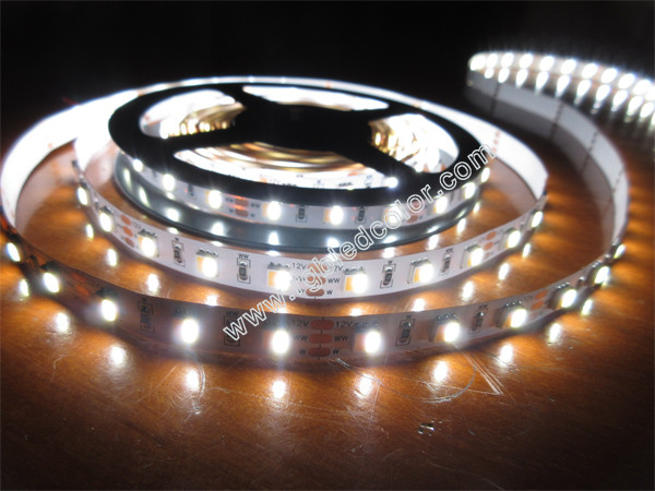 China 5050 two white color chips dimmable cct strip factory