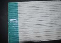 China High Strength 100%Polyester Dryer Screen For Conveyor Wire Mesh Belt factory