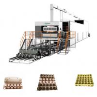 Quality Moulded Apple Fruit Tray Making Machine Full Automatic Production Line for sale
