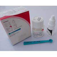 China CE Approved Dental Filling Materials Glass Ionomer Restorative Chemfil Superior factory