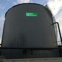 Quality CH4 Anaerobic Digester Tank CO2 Biodigester Plant Continuous Stirred Tank for sale