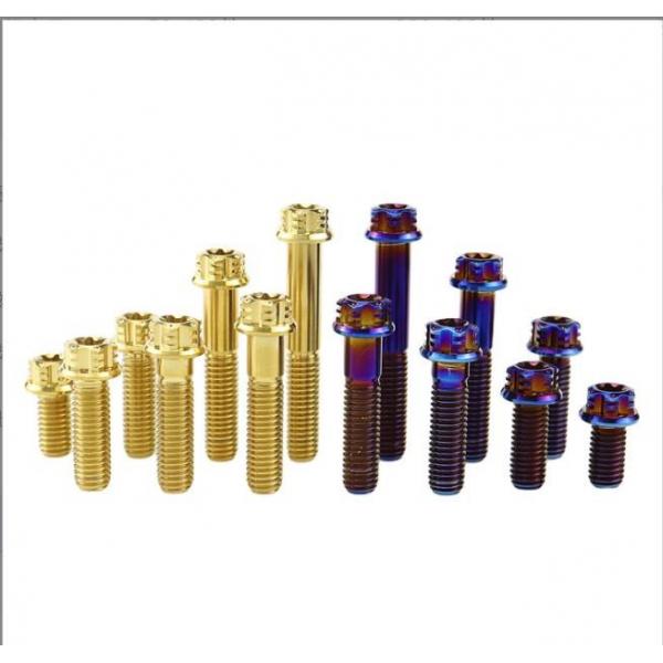 Quality M6 Torx Titanium Alloy Bolts  In Fancy Flange For Motorcycle Modification for sale