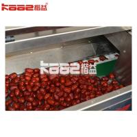 China Fruits Washing Drying Equipment Dates Processing Machine For Industrial Use factory