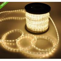 China warm white wireless rope lights 2 wire led christmas rope lights factory