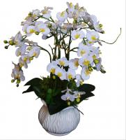 China Wholesale Real Touch Potted Silk Orchids Plants factory