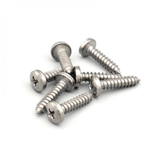 Quality Titanium Steel Round Head Self Tapping Screws 6-30mm Length M6 X 10mm Screw for sale