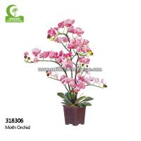 China Anti Fading 65cm Artificial Moth Orchid In Various Colors factory