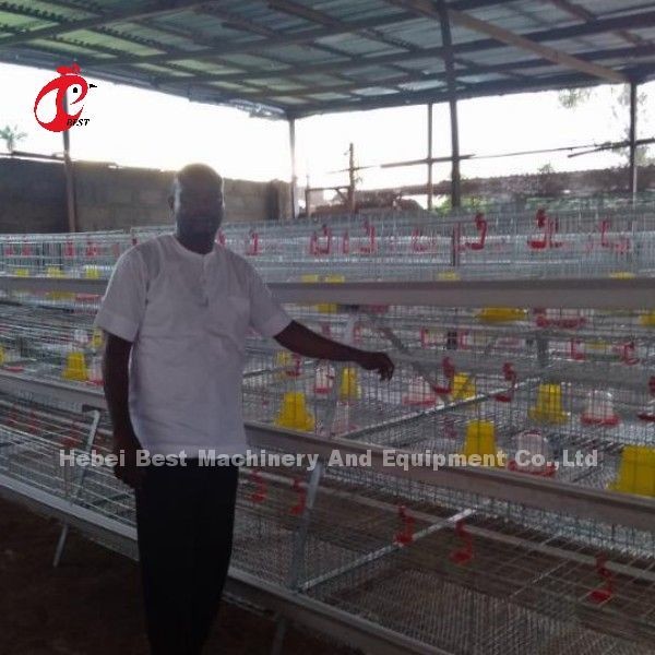 Quality High Resilience H Type Broiler Cage Hot Galvanized Low Carbon Steel Adela for sale