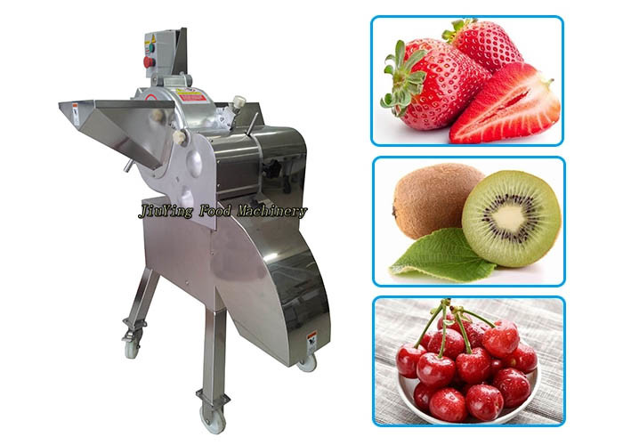 China 1500W Fruit Processing Equipment For Strawberry / Date / Mushroom / Pineapple for sale