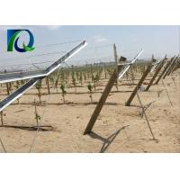 China High Strength Table Grape Trellis Systems , Galvanised Steel Vineyard Posts for sale
