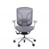 China GTCHAIR Mid Back Ergonomic Office Chair Wintex Mesh Rolling Chair Online Mesh Seating factory