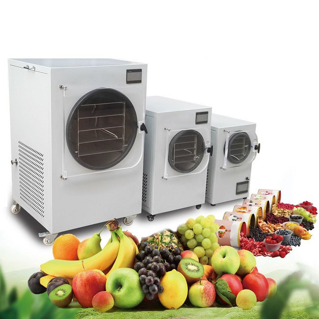 China 1500W Small Home Food Vacuum Freeze Dryer Lyophilization Machine 0.1m2 acreage factory