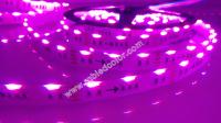 China rgb side emitting led strips light 5m 300led 14.4w multicolor flex led tape light factory