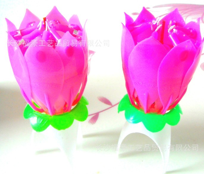 China Hight quality singing candles  music candles   happy birthday candles  flower candles factory