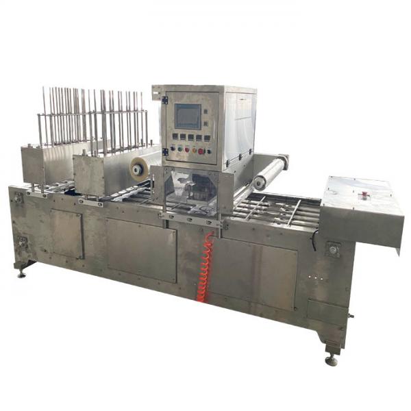 Quality High Speed Vacuum Tray Sealer Machine Automatic For Fresh Meat Fish for sale