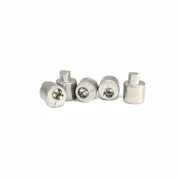 Quality Eccentric Adjusting Stainless Steel Screw Rear Axle 4.9X13 Polished SUS304 for sale