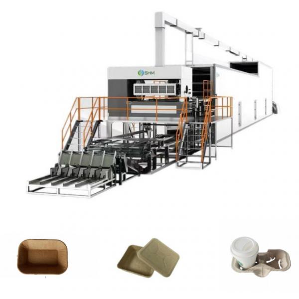 Quality Kiwis Fruit Tray Making Machine Automatic Pulp Molded Rotary Machine for sale