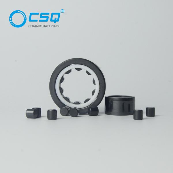 Quality Nu 205 NU 202 Nu 206 Ceramic Roller Bearings SSiC Races Balls PTFE Caged for sale
