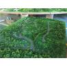 China 1.4x1.2m Trees Model Making Materials For Architectural Tourist Mountain , Display Working Maquette factory